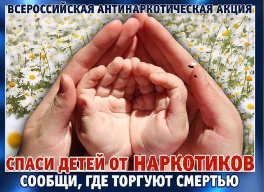 СООБЩИ, ГДЕ ТОРГУЮТ СМЕРТЬЮ