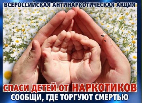 СООБЩИ, ГДЕ ТОРГУЮТ СМЕРТЬЮ